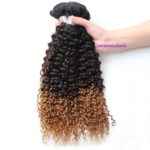 1. 8A Ombre Brazilian Virgin Hair Weaves 1-3-4 Bundles Curly Human Hair Extensions 2