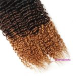 1. 8A Ombre Brazilian Virgin Hair Weaves 1-3-4 Bundles Curly Human Hair Extensions 6