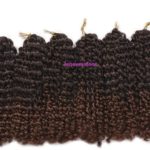 12. Marlybob Curly Crochet Hair.jpg 1B-30a
