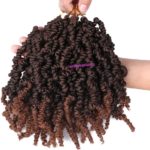 13. Pre-twist Pre Looped-áSpring Twist Crochet Hair 1B-30.jpg2