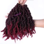13. Pre-twist Pre Looped-áSpring Twist Crochet Hair 1B-BUG.jpg2