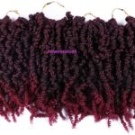 13. Pre-twist Pre Looped-áSpring Twist Crochet Hair 1B-BUG.jpg6