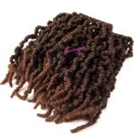 13. Pre-twist Pre Looped-áSpring Twist Crochet Hair T1B-30.jpg2