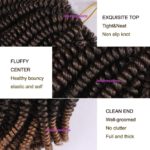 19. Spring Twist Crochet Braiding Hair.jpg 1b-27.jpg1