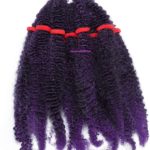 20. Afro Kinky Bulk Hair for Braiding and Crochet Braids- Black to purple