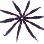 20. Afro Kinky Bulk Hair for Braiding and Crochet Braids- Black to purple.jpg1