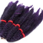 20. Afro Kinky Bulk Hair for Braiding and Crochet Braids- Black to purple.jpg3