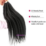6. Senegalese Twist Hair.jpg2