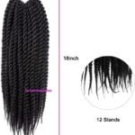 6. Senegalese Twist Hair.jpg3