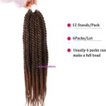 6. Senegalese Twist Hair.jpg8