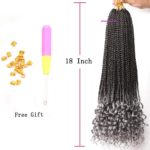 8. Goddess Box Braids Crochet Hair with Curly Ends- T-gray3 – Copy