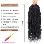 9. Wavy Senegalese Twist Crochet Hair 1B.jpg2