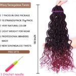 9. Wavy Senegalese Twist Crochet Hair TBUG.jpg1